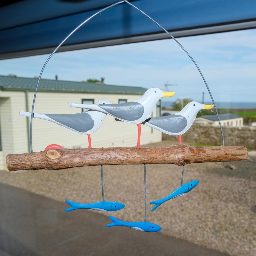 Ferienwohnung Kittiwake Saint Cyrus Exterior foto
